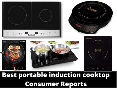 Best Portable Induction Cooktop Consumer Reports In 2020